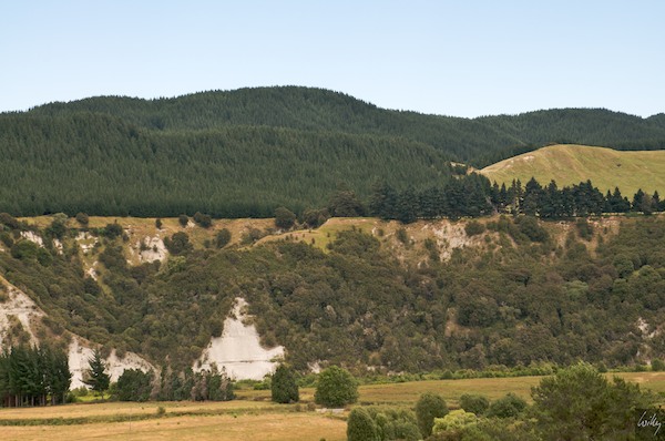 NewZealand 09 10  044